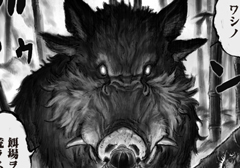 15 - KABUTO蟲（むし）